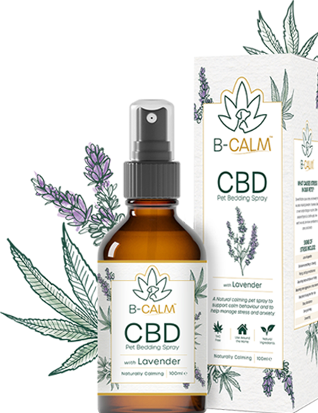 B-Calm | CBD Pet Calming Spray